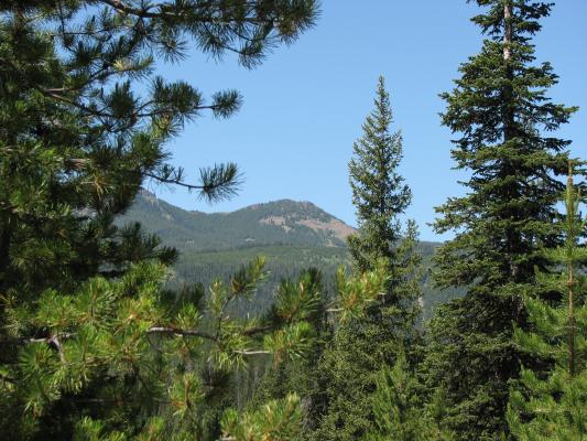 A view from Palisade falls
