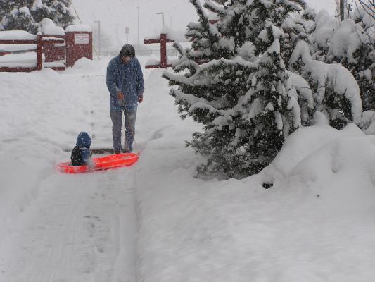 Turning around in the sled.
