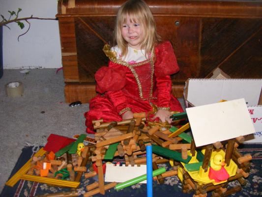 We all took turns putting blocks on  this house.