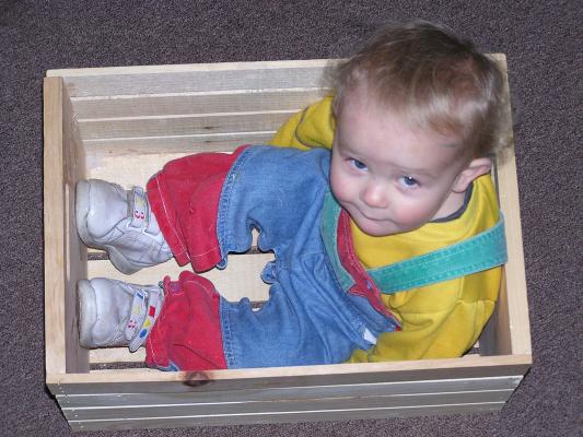 Noah rides in the ark.