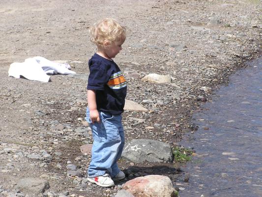 Noah threw it into the water.