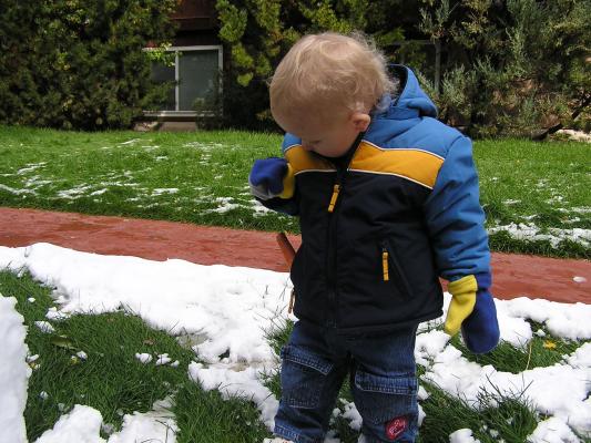 How do I make these mittens work?