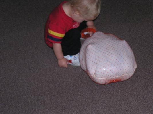 I think there's a thanksgiving turkey in here somewhere.