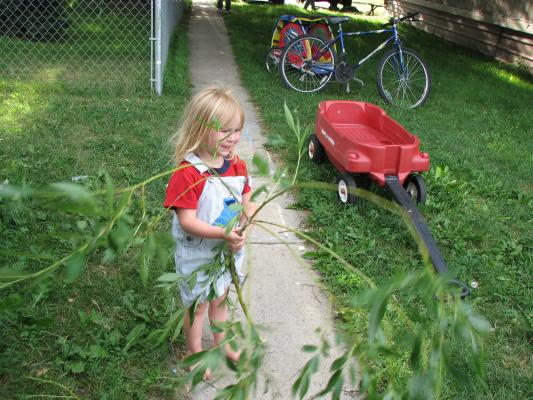 Sarah in overalls with tree branch.