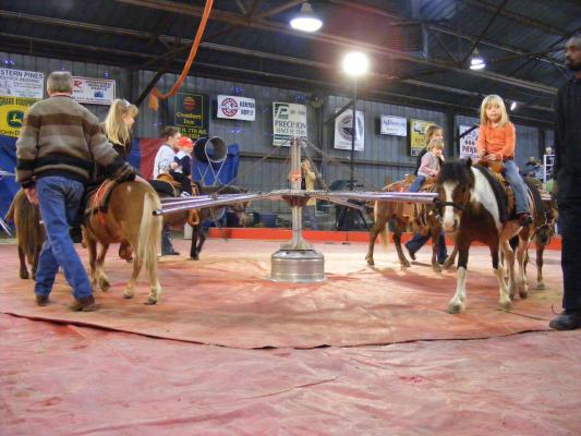 ponys at the circus