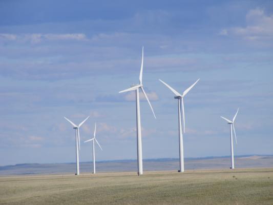 windmills.