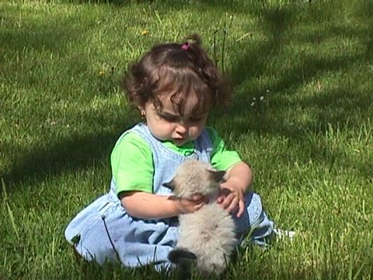 Malia with the kitten
