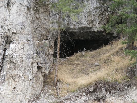 There were lots of little caves in the rock.