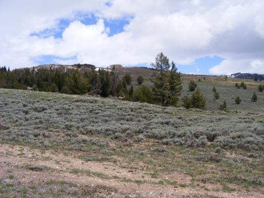 A nice view in Wyoming