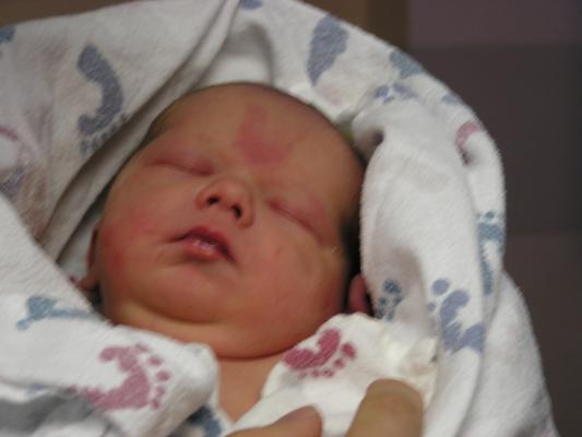 Hello Noah