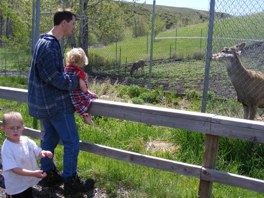 Noah, David and Sarah see a deer.