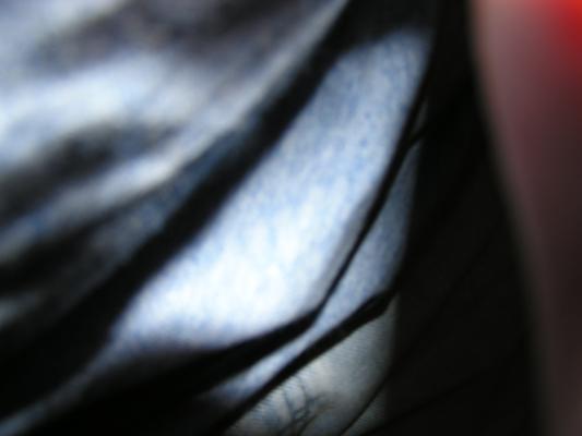 Hmmm, who took this picture?