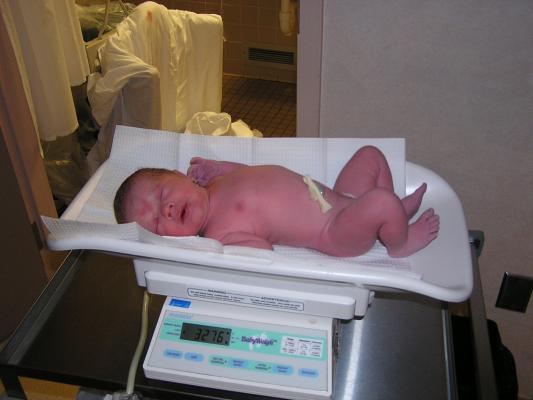 Noah get weighed