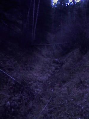 Leverich Canyon