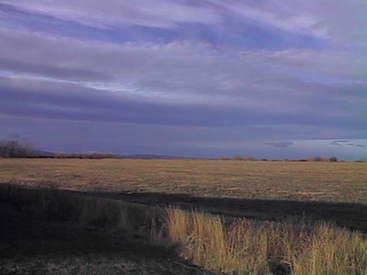 Field near Bozeman, MT