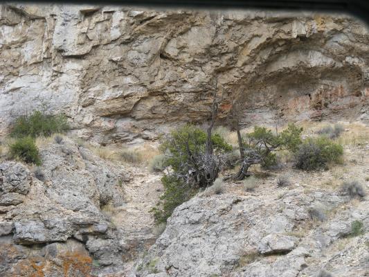 cave paintings.