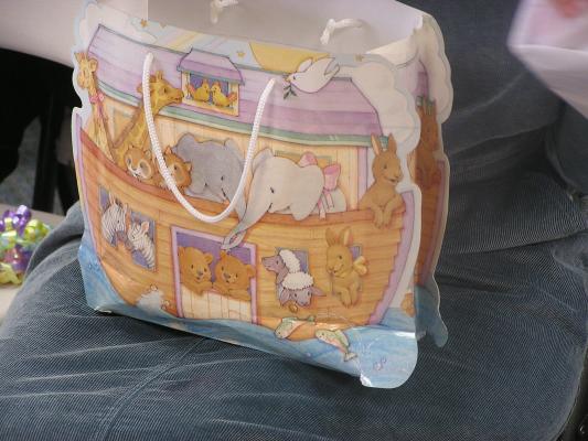 It's a Noah's Ark bag.