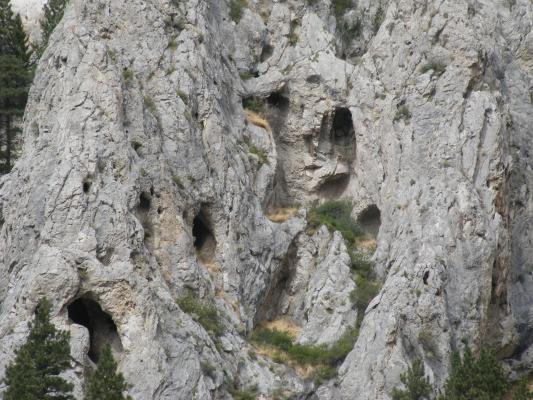 Lots of little hoes in the rock.
