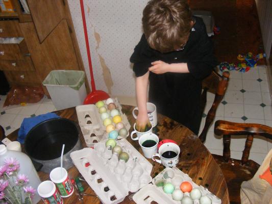 Noah dying eggs