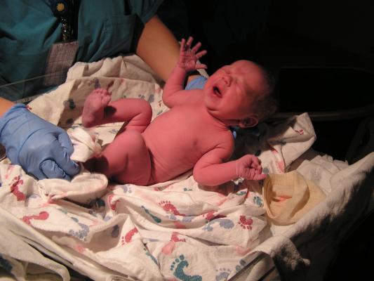 We have a brand new baby!