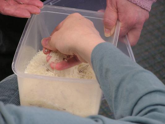 Katie plays the rice game.  Find the safety pins.