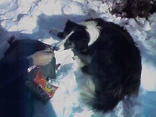 Eugene gives his dog a treat.