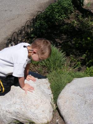 Noah on a rock
