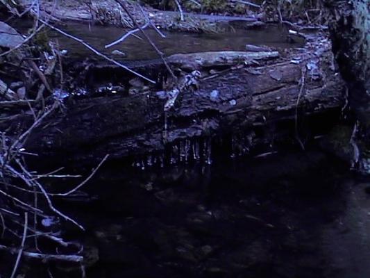 Leverich Canyon