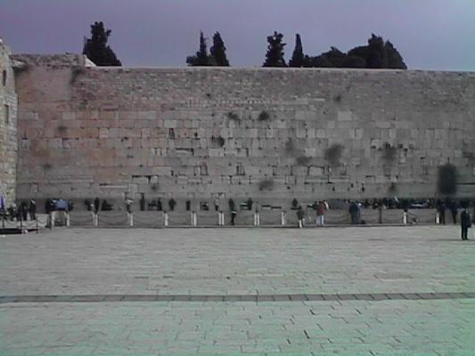 Whaling Wall