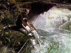 Dale at Mesa Falls