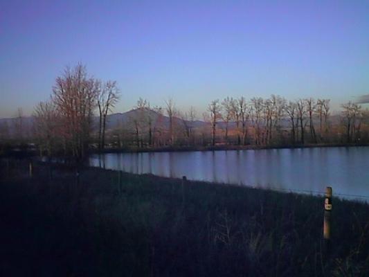 Pond near Bozeman, MT