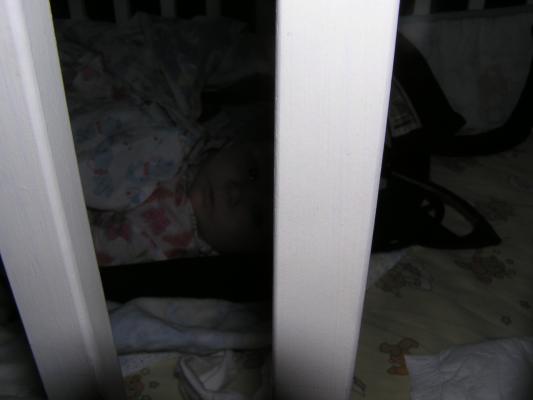 Hmmm, who took this picture?