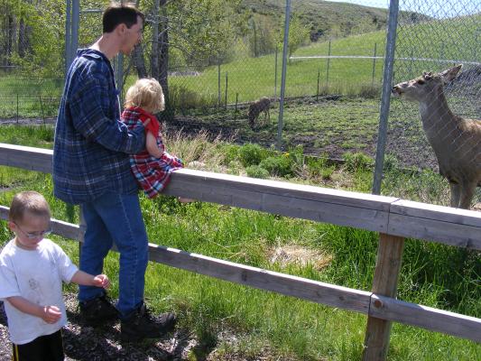Noah, David and Sarah see a deer.
