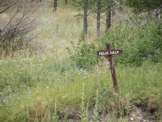 fields gulch