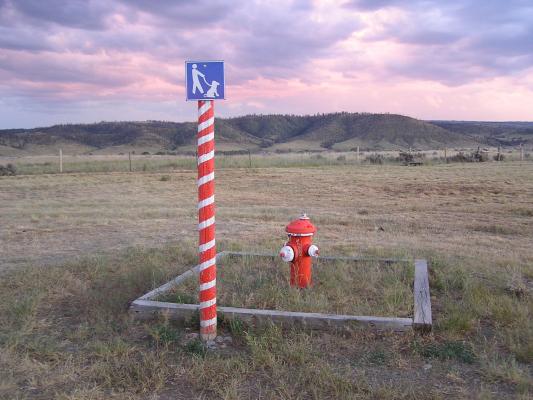 We stopped at a rest stop that had facilities for dogs too.
