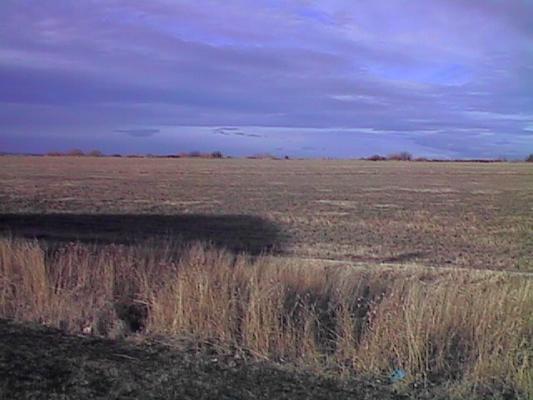Field near Bozeman, MT