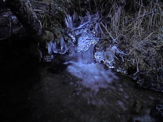 Leverich Canyon water